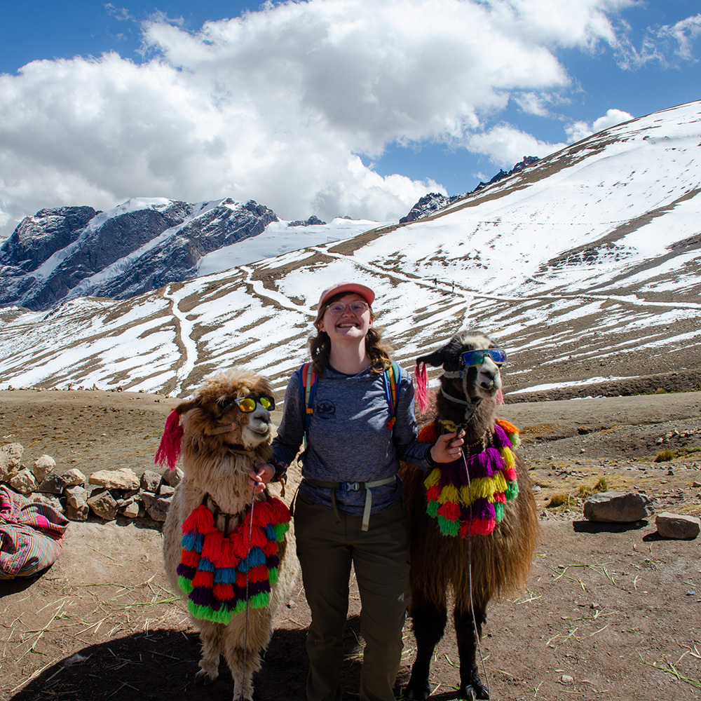 A student posing for a photo with two llamas in Peru.